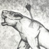 Dying Lioness - Image 4